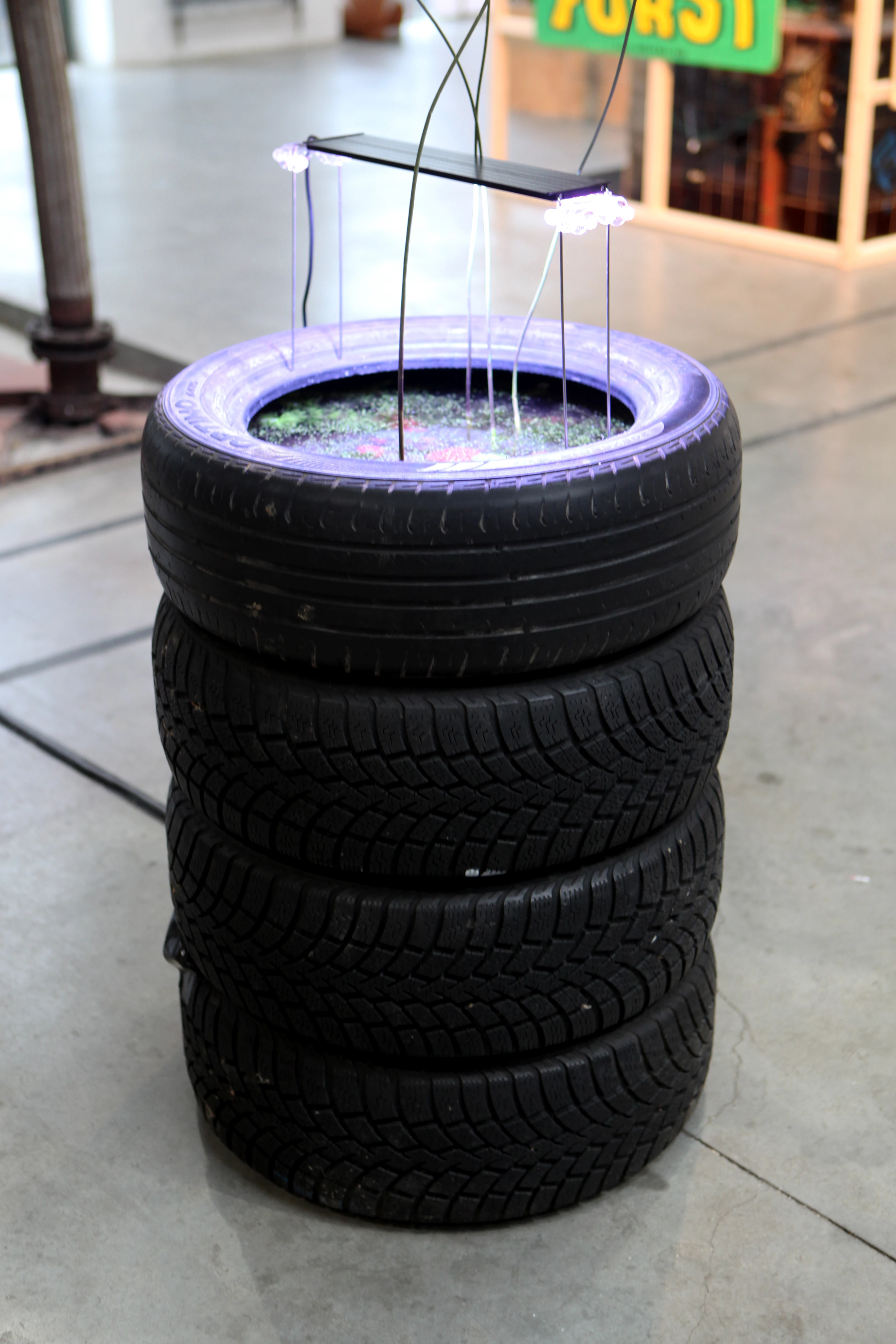 Nous avons été invité à proposer une installation à propos du Marais Wiels dans l’exposition « Raz-de-Marais » à la Moonens foundation. Nous nous sommes alors posé la question suivante : « Comment introduire, présenter un bout du marais dans un white cube? ».