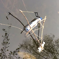 {$dessin->description}