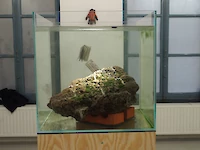 {$dessin->description}