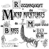 {$dessin->description}