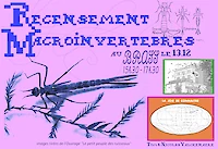 {$dessin->description}