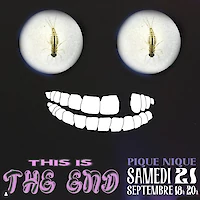 {$dessin->description}