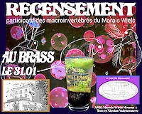 {$dessin->description}